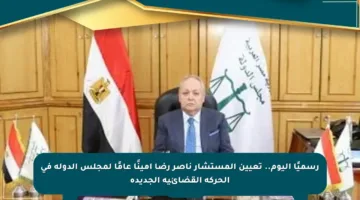 رسميًا اليوم.. تعيين المستشار ناصر رضا أمينًا عامًا لمجلس الدولة في الحركة القضائية الجديدة